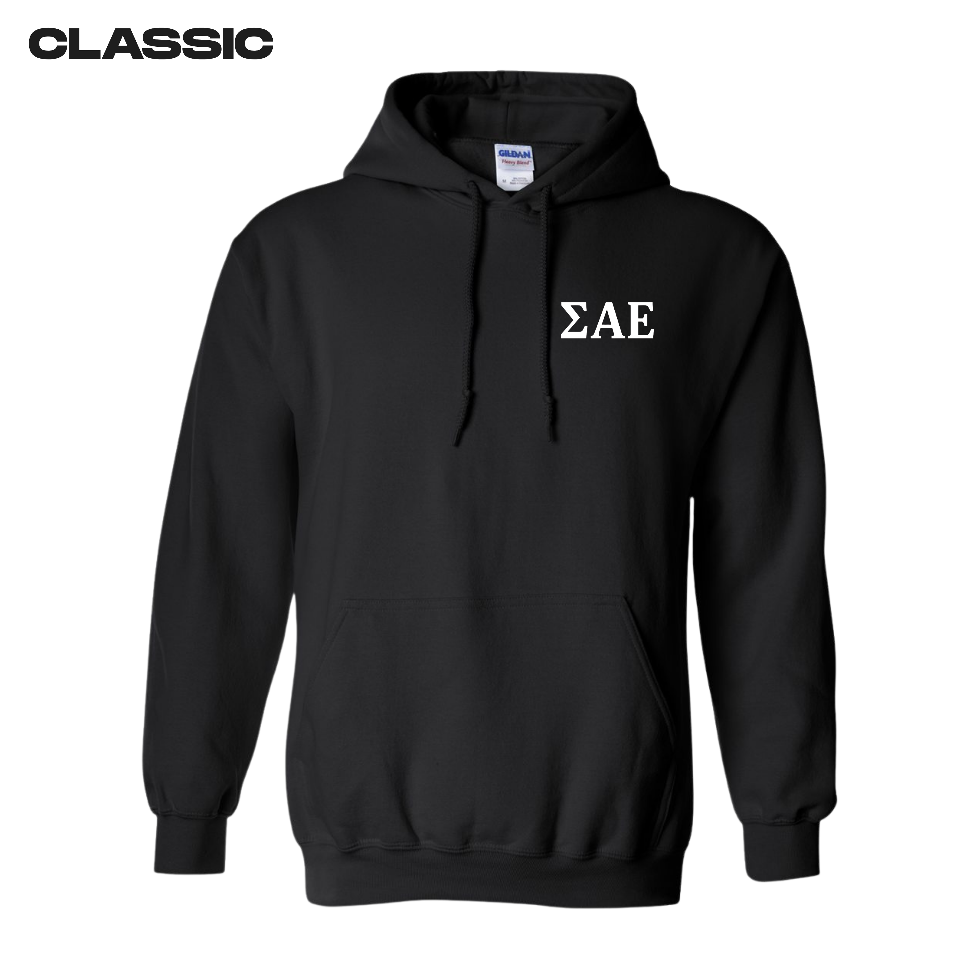 Classic SAE Bucknell University "House"  Hoodie