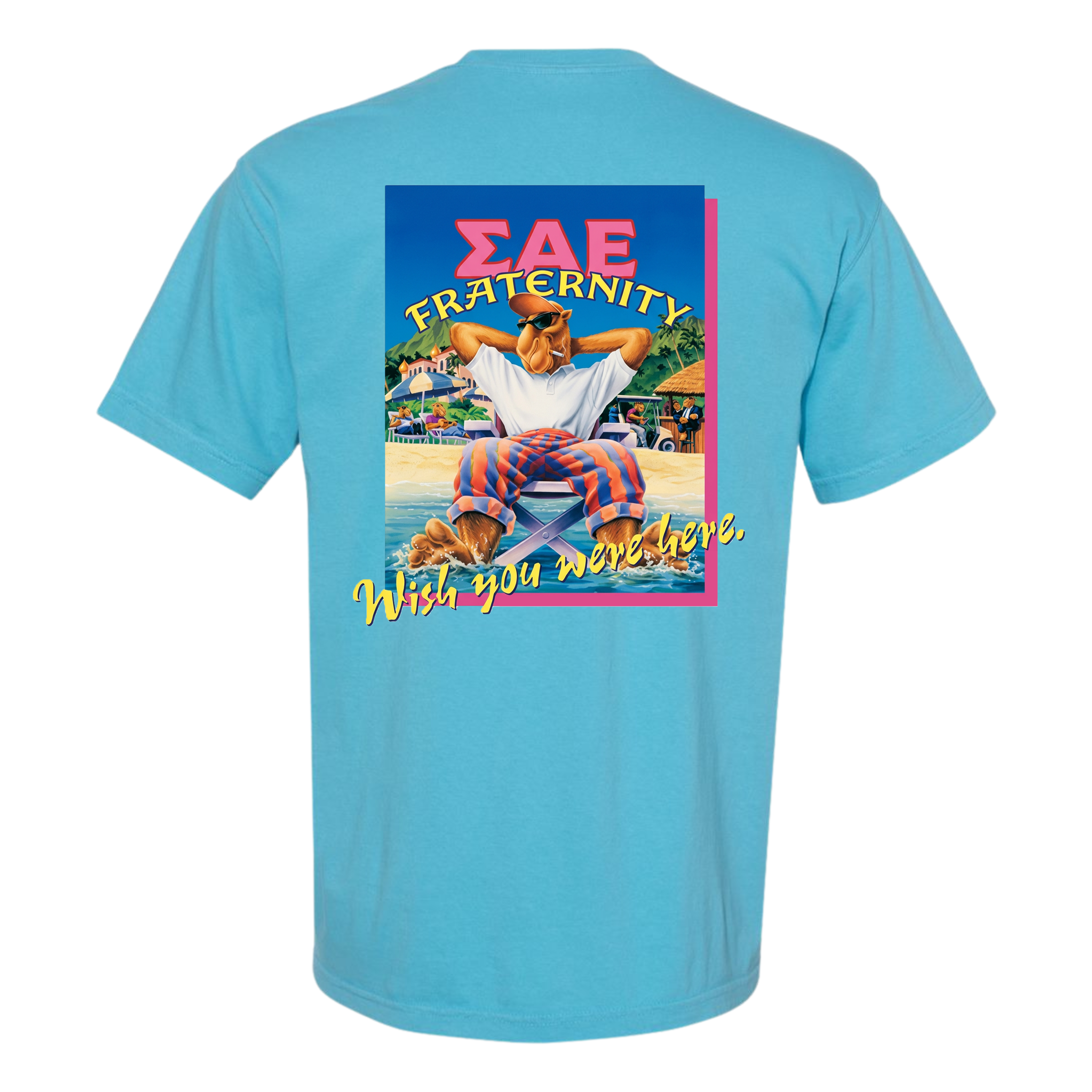 Premium SAE Albright College Fall Rush Tee